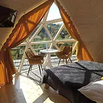 Honey Dome キャンプ場
