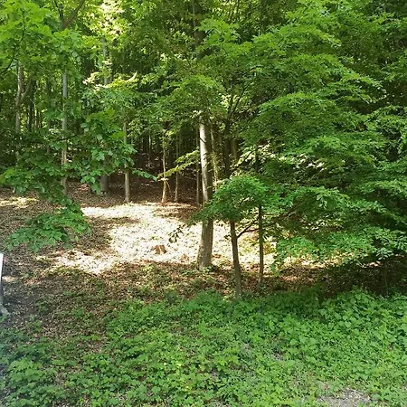 Kamp alanı Honey Dome